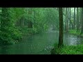 The beautiful little river is raining(221) , sleep, relax, meditate, study, work, ASMR