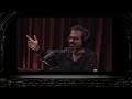 What If You Could Re-Watch Your Life | Joe Rogan & Rizwan Virk