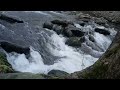 Enchanting Nature Sounds of Gatlinburg/ Smoky Mountains/ ASMR