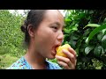 FULL VIDEO: Harvesting grapes in the forest, going to the market to sell and cooking with a kind boy