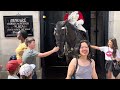 Disrespectful Tourists vs. Hilarious Horse Guard: You Won't Believe What Happens!
