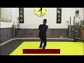 Yuanshan Boxing, Guangdong kungfu