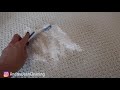 Spread Shaving Cream on your Carpet and THIS will happen!!