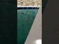 How to make swimming pool | swimming pool