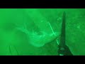 Scuba Diving Dauphin Island VK 251 2016