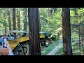 Roaring Camp Railroad Santa Cruz, California Redwood Forest