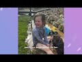 Baby Wombat Falls In Love With Little Girl And Joins Her Dance Routines | Cuddle Buddies
