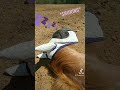 What does it sound like when a horse snores?   #sleep #snoring #asmr #horse #equestrian #farm #funny