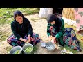 IRAN Village Cooking: Nomadic women first prepare breakfast and then cook zucchini and bread ▪️ 4K