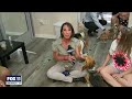 Beagles rescued from breeding facility get adopted
