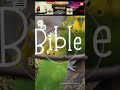 Bible Budgies. Romans 5:8 #ebibleclub #biblebudgies #parakeets #budgies