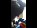 Haunted Superman Toy Seriously Freaky starts Chanting like Dr Strange cursed it kryptonian exorcism