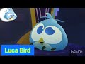 Todos Los Pájaros De Angry Birds