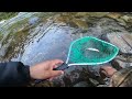 Probando nuevo señuelo | Pesca en rio en el  sur de chile  Ep.1