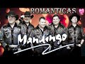 ✅Exitos Sus Mejores Canciones De Grupo Mandingo🎶Grupo Mandingo~Mix Romanticas💖#romantica