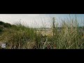 Norfolk Beach Relaxation | Serene Ambient Video with Calming Music | 4K | ASMR