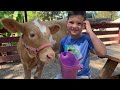 Caleb Goes to the Farm with ANIMALS! FEEDING BaBY COWS, PIGS, HORSES at the PETTING ZOO with MOMMY!