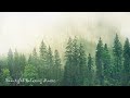 10 Hours of Soothing Rain and Piano Sleep Music for Stress Relief and Relaxation