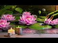 Relaxing music to relieve stress, anxiety and depression 🌿 heals mind, body and soul