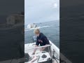 Whale slams into boat off New Hampshire coast
