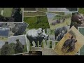 How you helped make a difference in 2023 | WWF