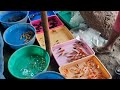 All Types Of RARE Fish, Shrimps & Snails - Galiff Street Pet Market