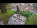 Japan - Northern Tokyo Cherry Blossoms Illumination Walk | Latest DJI RS 4 Test • 4K HDR