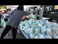 🇺🇸 Asian Farmer's Market Icot Blvd at Clearwater Florida 🇺🇸 USA 2024