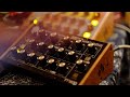 GREEN VALLEY 2022 - Moog Minitaur Analog Bass Monosynth Performance