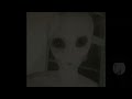 El Alien de 4chan [Investigación]