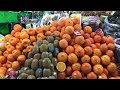 Popular Street Food Collection in Iranian Style l Kurdish Kebab and Fried Bread