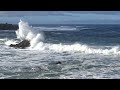Waiting for the Tsunami Zen Surf Report 2/21/24 HD