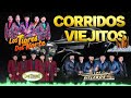 Rieleros Del Norte, Los Tigres Del Norte, Los Tucanes De Tijuana y Mas 🔥 Corridos Viejitos Mix 💥