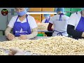 Harvesting MILLIONS of Cashew Nuts For Processing in Modern Factory - Cashew Farming Technique