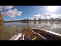Yellow belly fishing in South Australia
