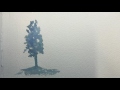 Noah's Art Watercolour Tree