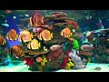 Aquarium Relaxing Oceanscapes 8K UHD GoalBack Video HDR Test 【8K HDR 60FPS】