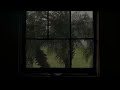 Windy Thunderstorm, Trees Blowing  - 2 Hours Rain Sounds for Sleep, Study & Relaxation