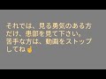 桃猫、生爪を剥がしてしまいました😭【閲覧注意】