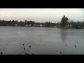 Laser gun noises from slightly frozen lake