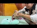 So Itchy...New Mama Apply Cream To Priv@t Newborn Baby Monkey A Tong First Time