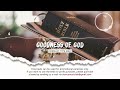 [FREE] Worship Instrumental - Goodness of God (Prod. by Mista Stance)