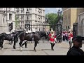 Armed Police Officer Protects The King's Guard and Handled the Situation Really Well!