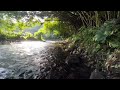 The sound of the river flowing gently and calmly under the bamboo garden,relaxation,asmr