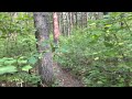 Solo Hiking the Manistee River Trail part 16