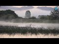 Soothing sounds of nature near the misty pond, nature relaxation