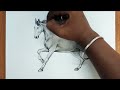How to draw a horse | pencil drawing | step by step | black and white