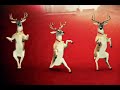 Deer Bros are dance in my house 😂😂