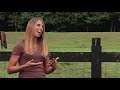 Interview with Kristen Breakfield: Former Horse Trainer at Horse Plus Humane Society