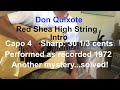 Gordon Lightfoot: Red Shea High String Guitar